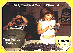 Pictures of the winemakers children on the wine label. (c) copyright  Tom Pelick