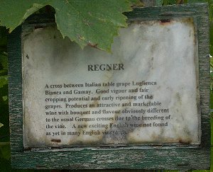 Regner Sign