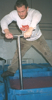 Marcus Ansems handpunching the cap